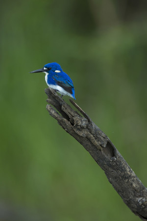 Great Photo Locations: Kakadu National Park